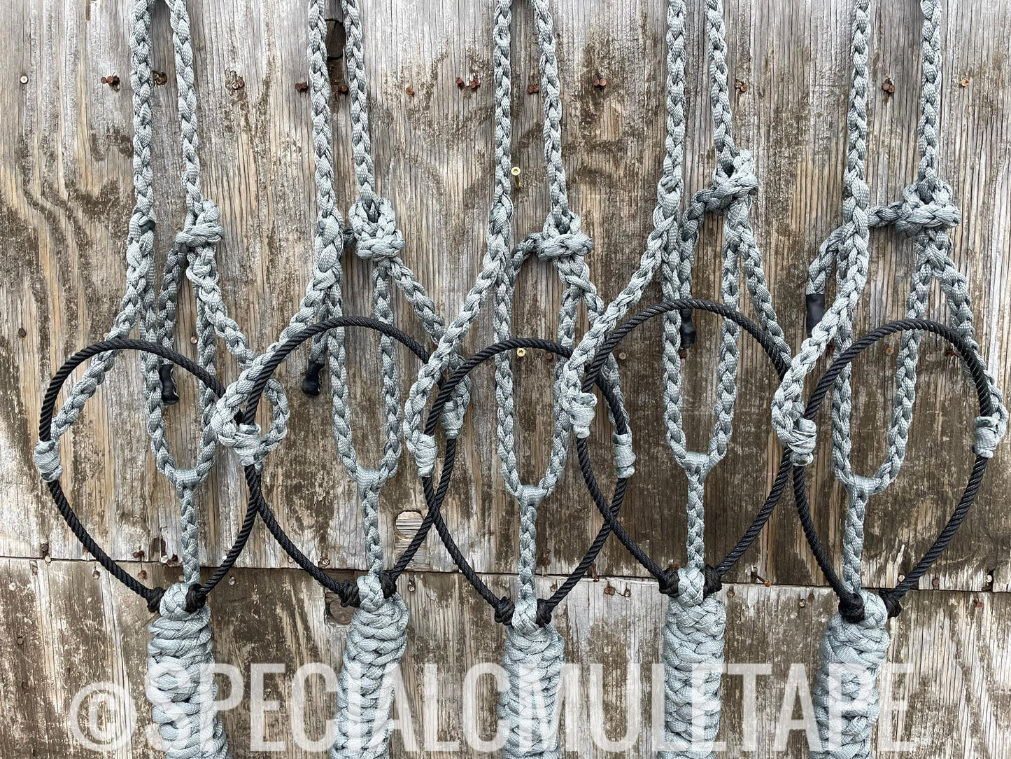 Slate Gray Lariat Halter