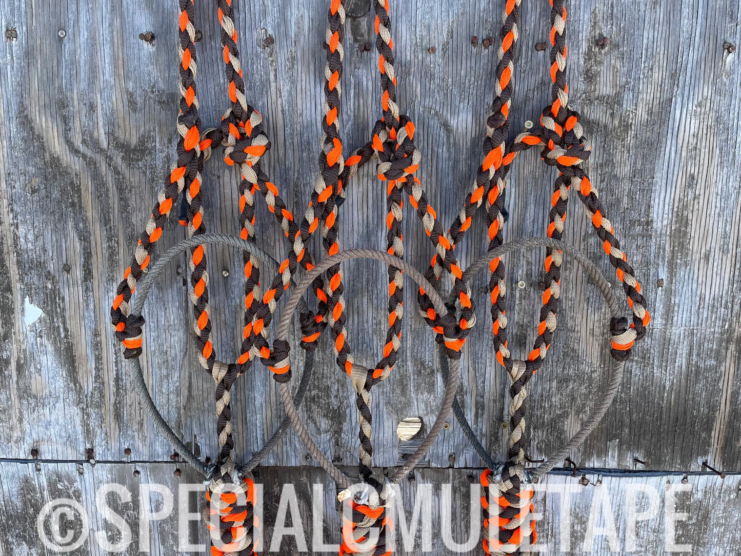 Chocolate, Sand and Neon Orange Lariat Halter