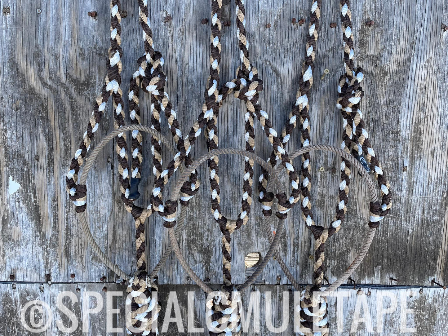 Chocolate, White and Sand Lariat Halter