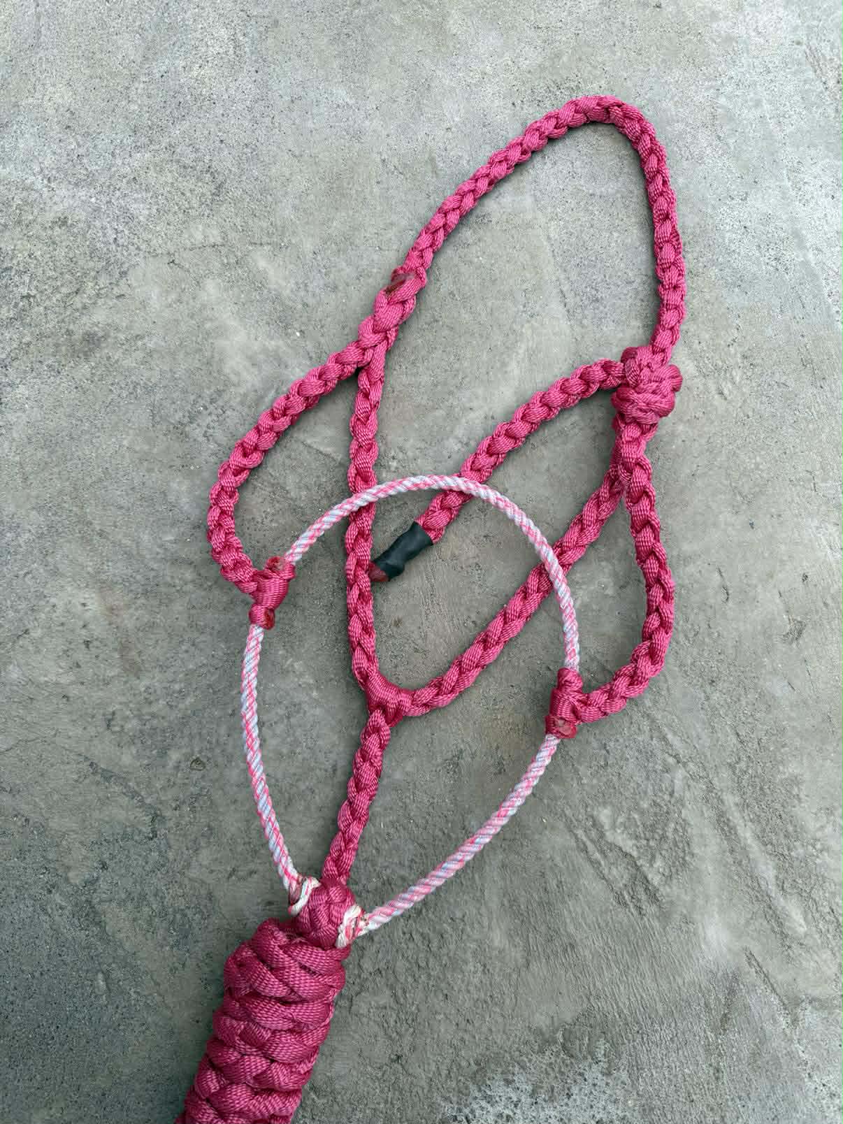 Fuchsia Lariat w/ Funky Noseband