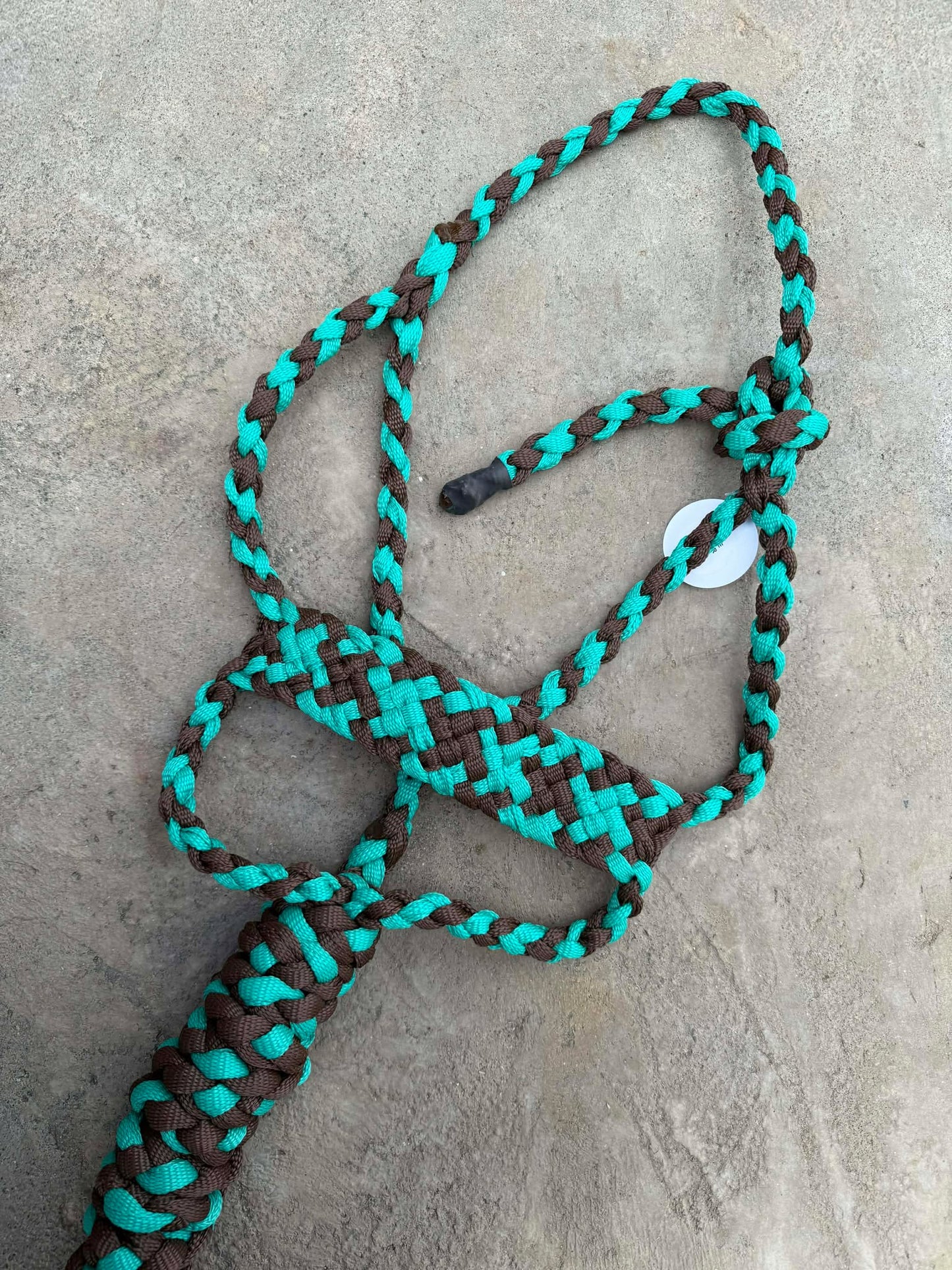 Teal & Chocolate Brute