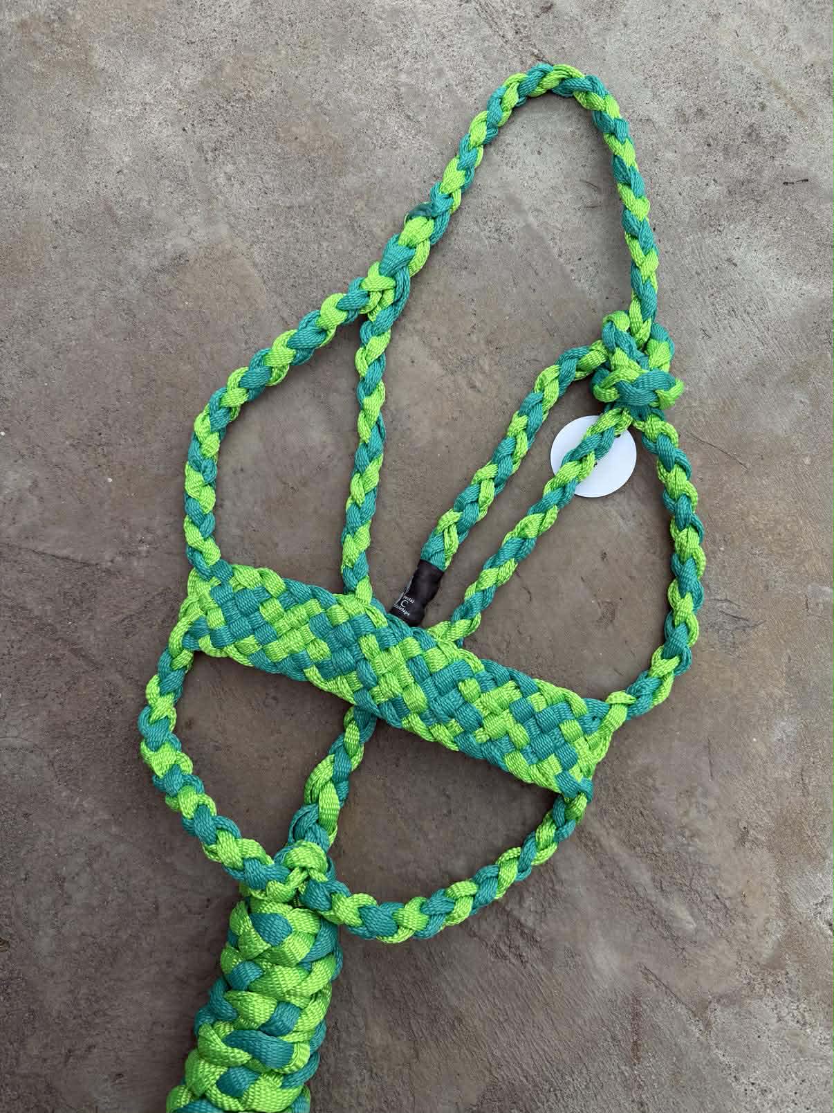 Neon Green & Teal Brute