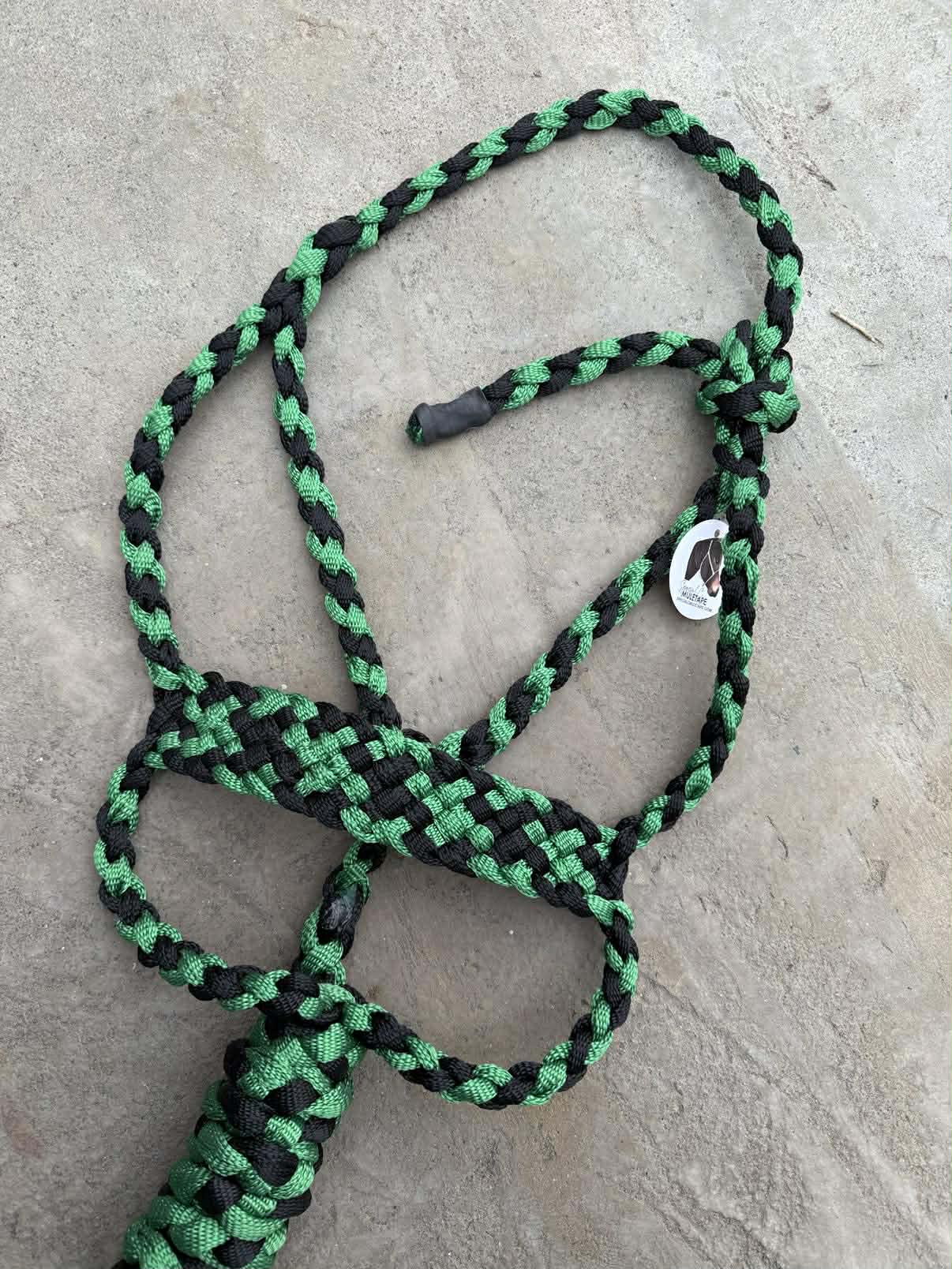 Green & Black Brute
