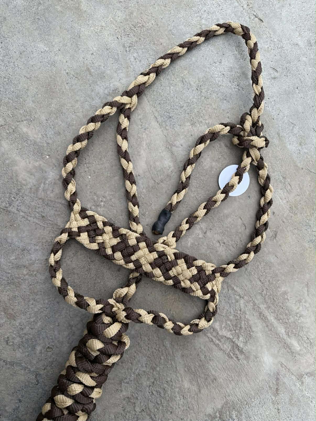 Chocolate & Sand Brute