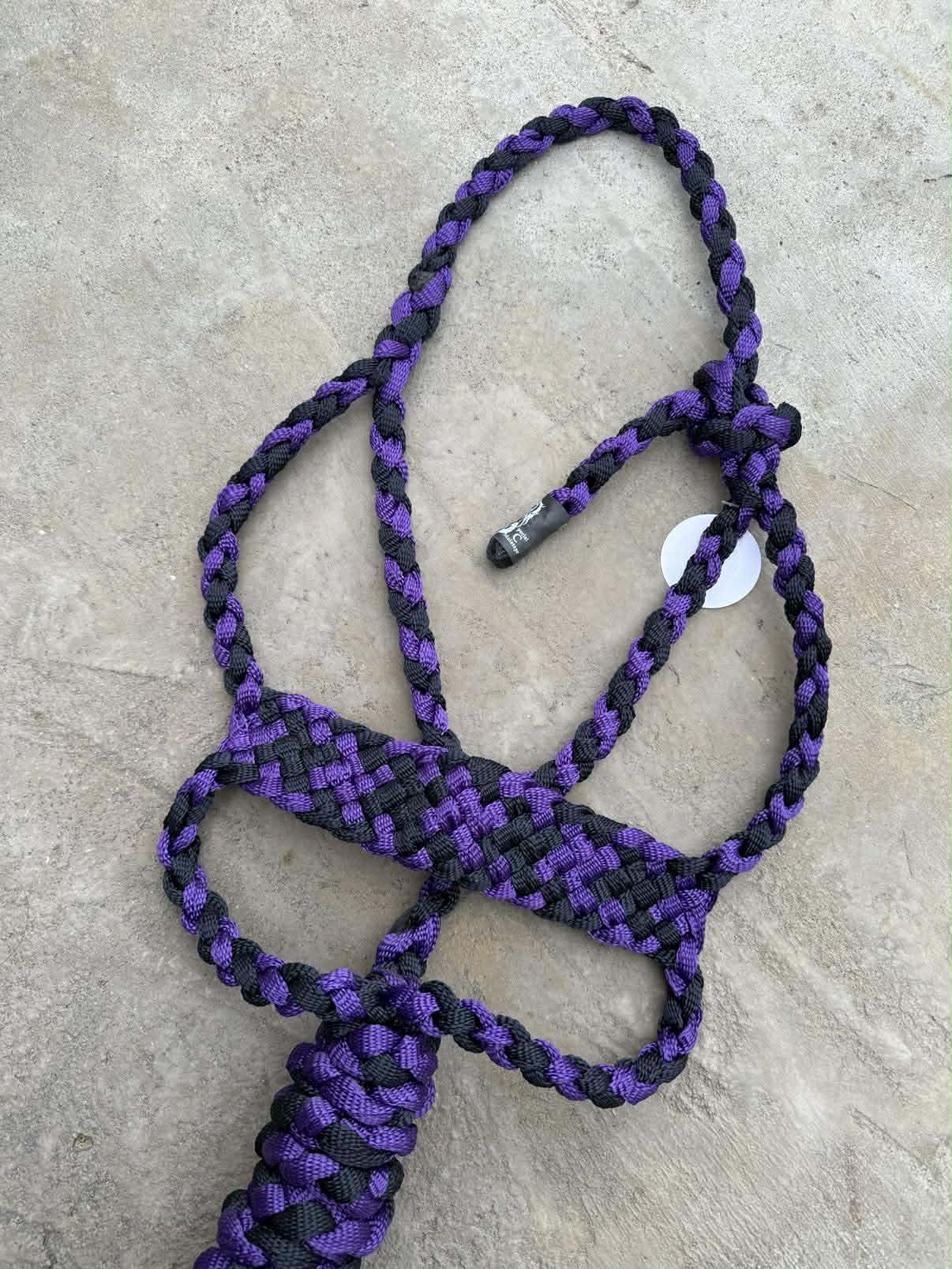 Royal Purple & Navy Brute