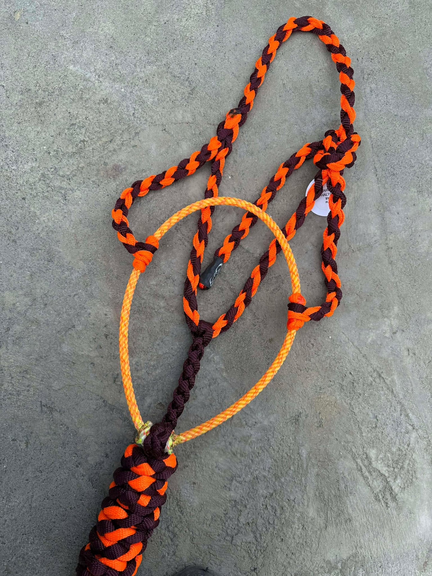 Neon Orange & Burgundy Lariat