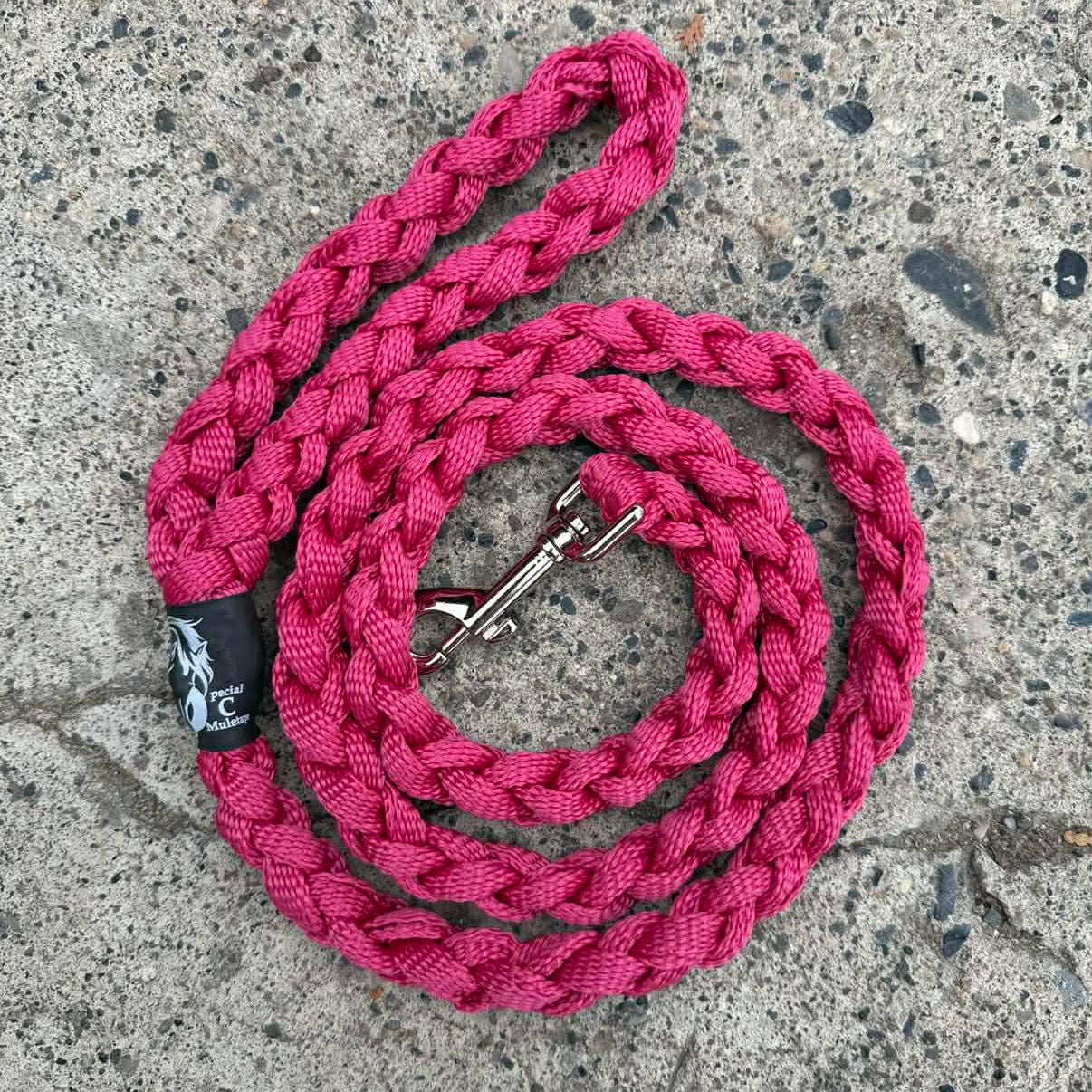 Fuchsia 5' Dog Leash