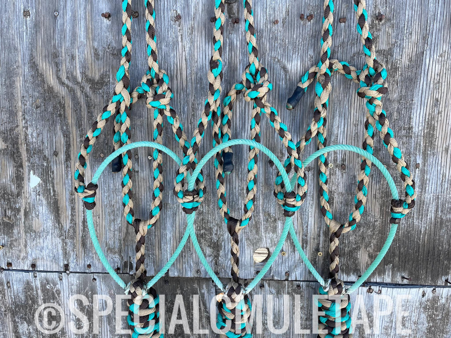 Sand, Teal and Chocolate Lariat Halter
