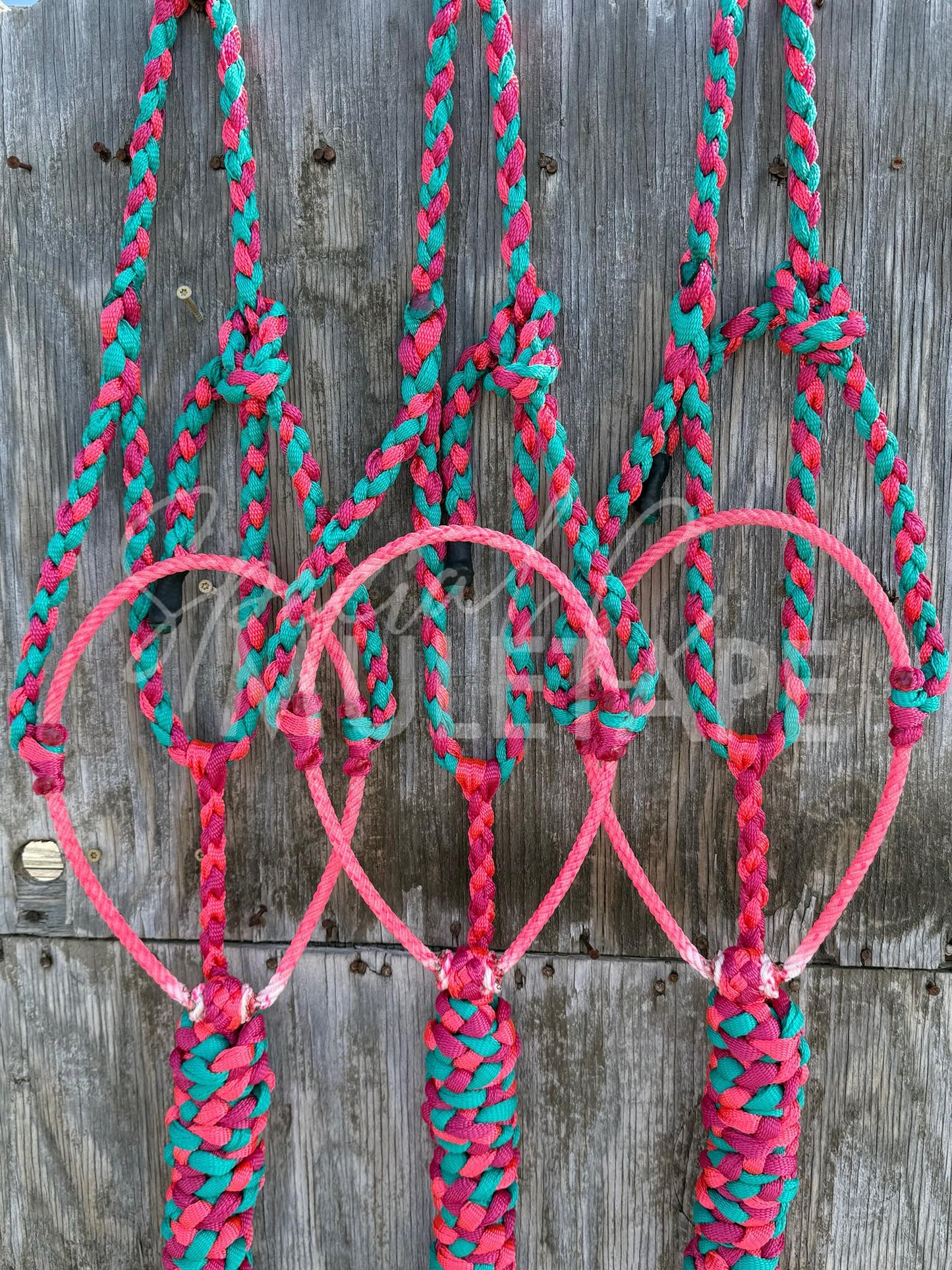 Teal/Fuchsia/Neon Pink Lariat Halter