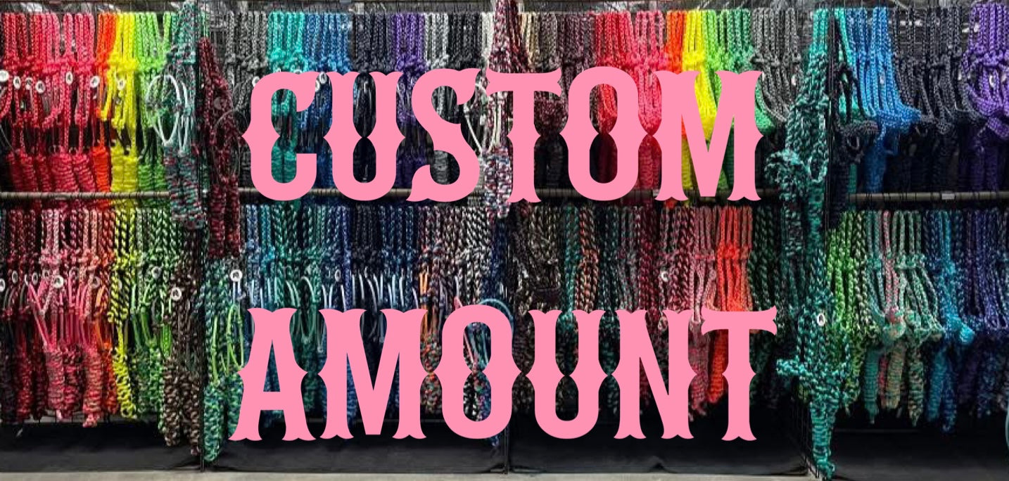 Custom Amount Checkout