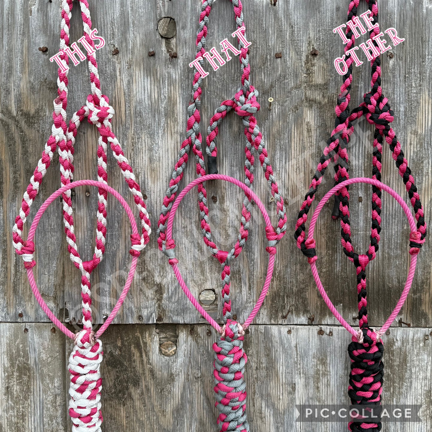 Fuchsia Combo Halters