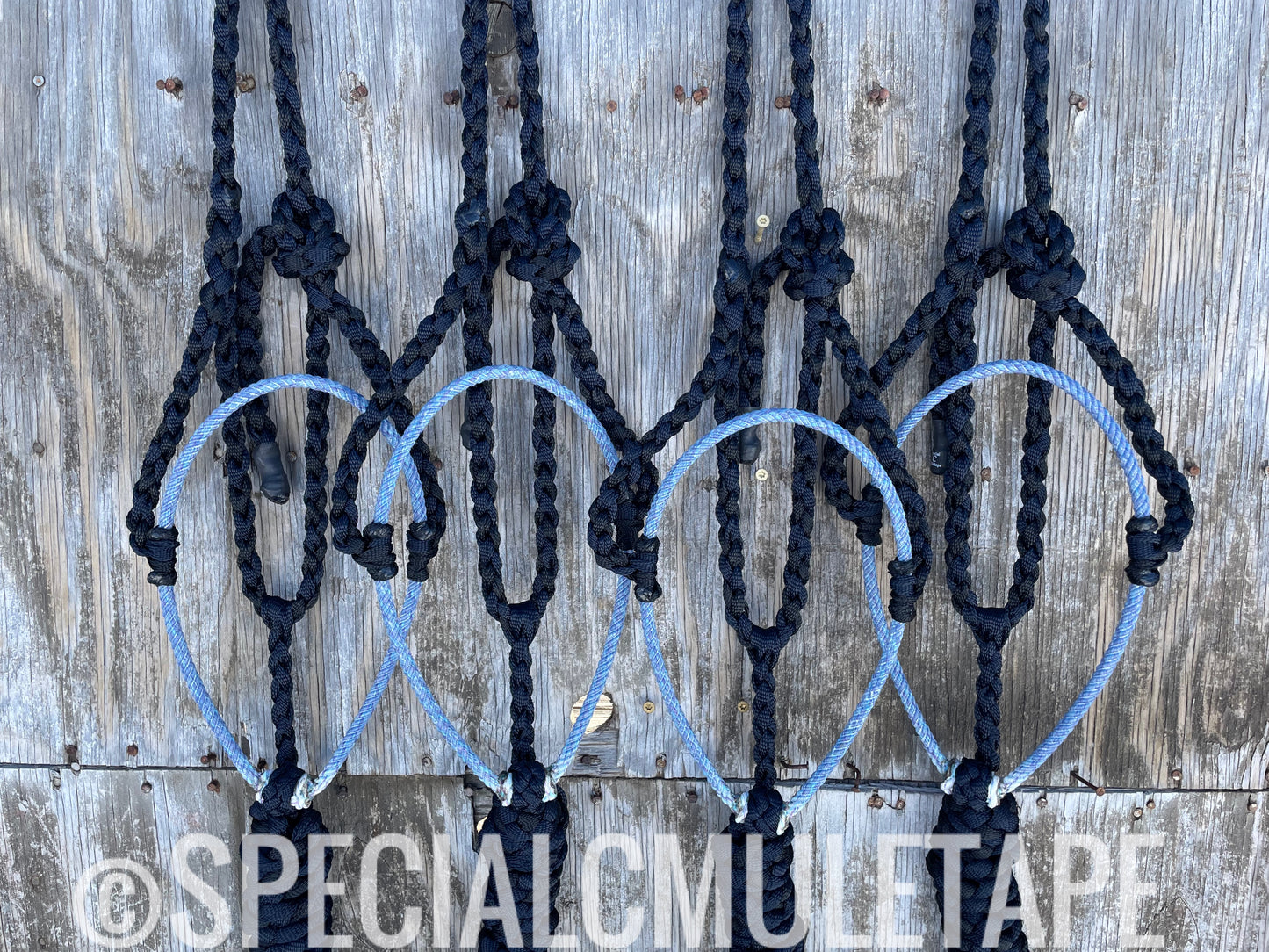 Navy & Black Lariat Halter