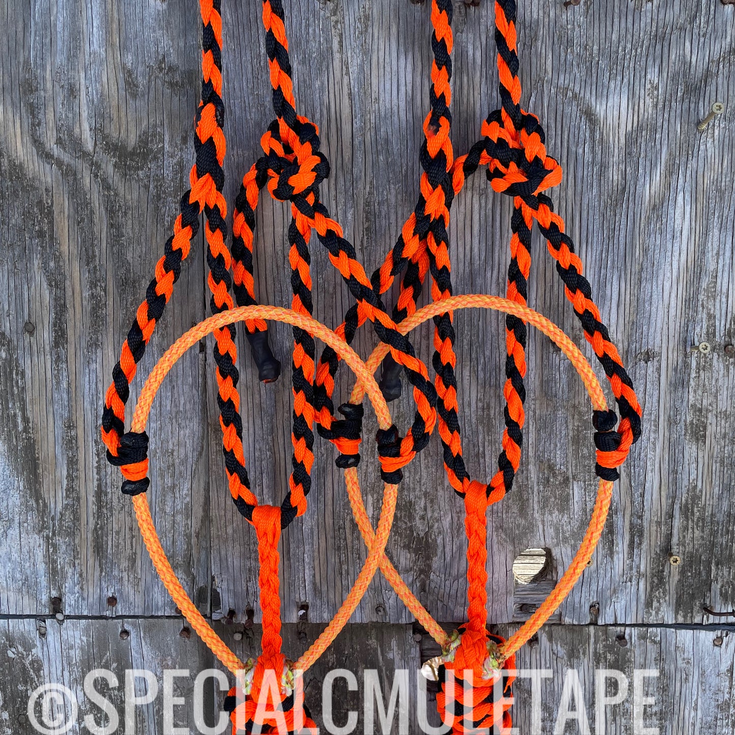 Neon Orange & Black Lariat Halter