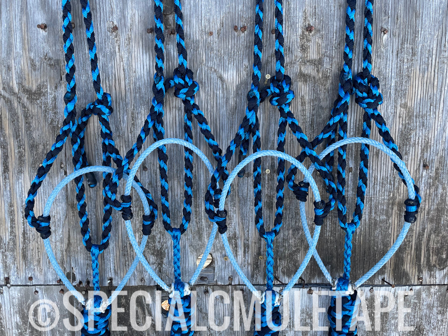 Royal Blue & Navy Lariat Halter