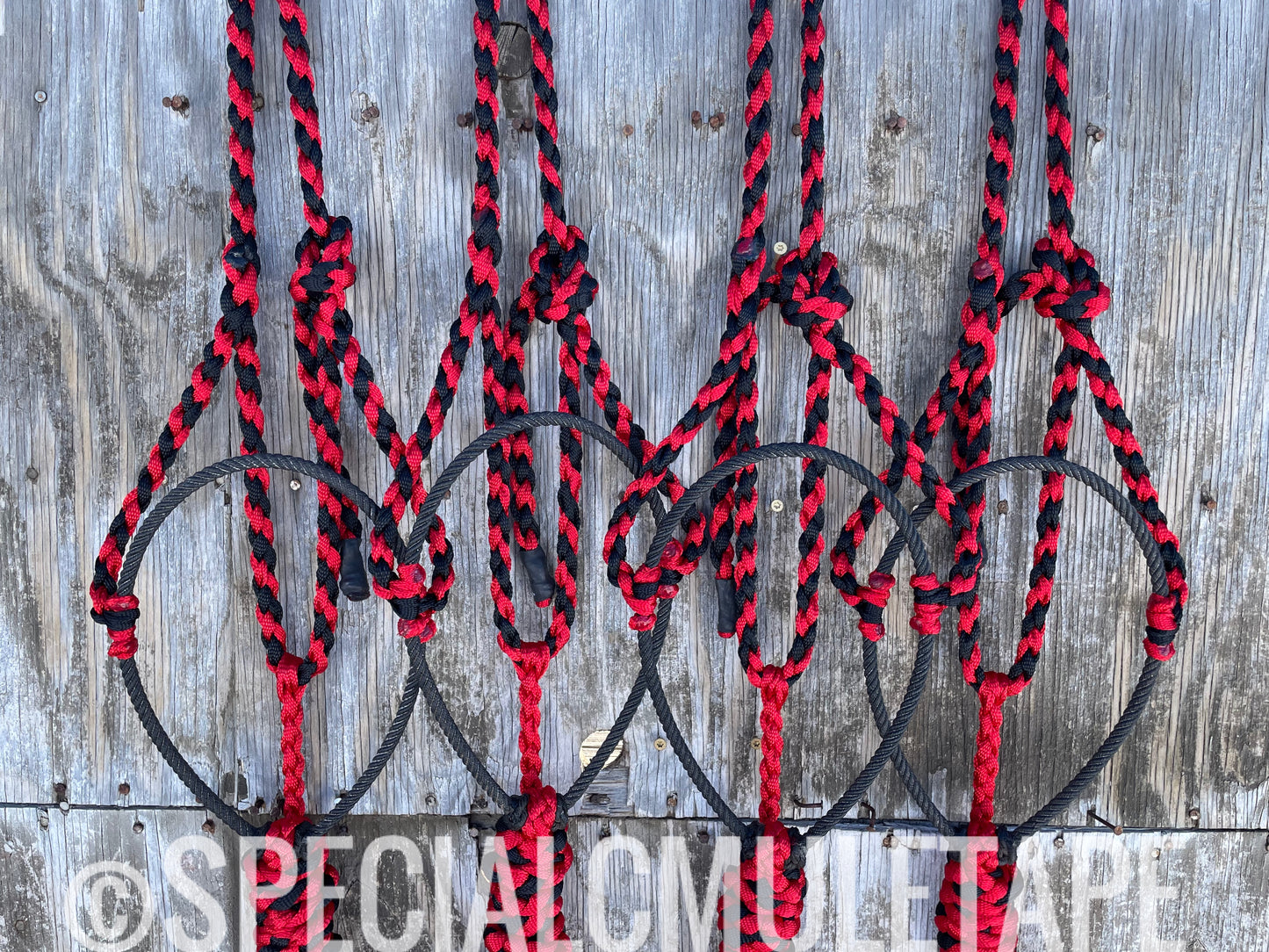 Black & Red Lariat Halter