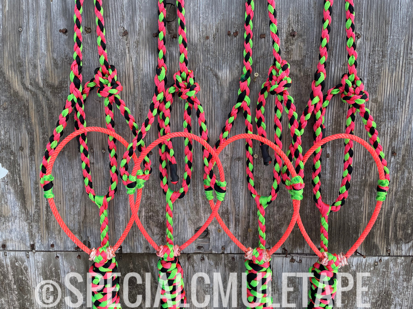 Neon Pink, Neon Green & Black Lariat Halter