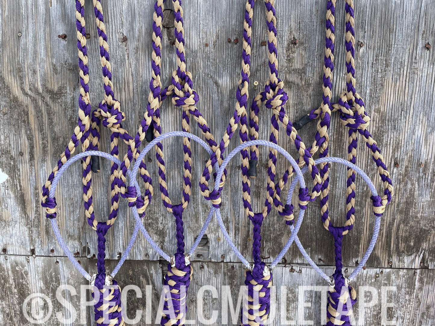 Royal Purple & Sand Lariat Halter