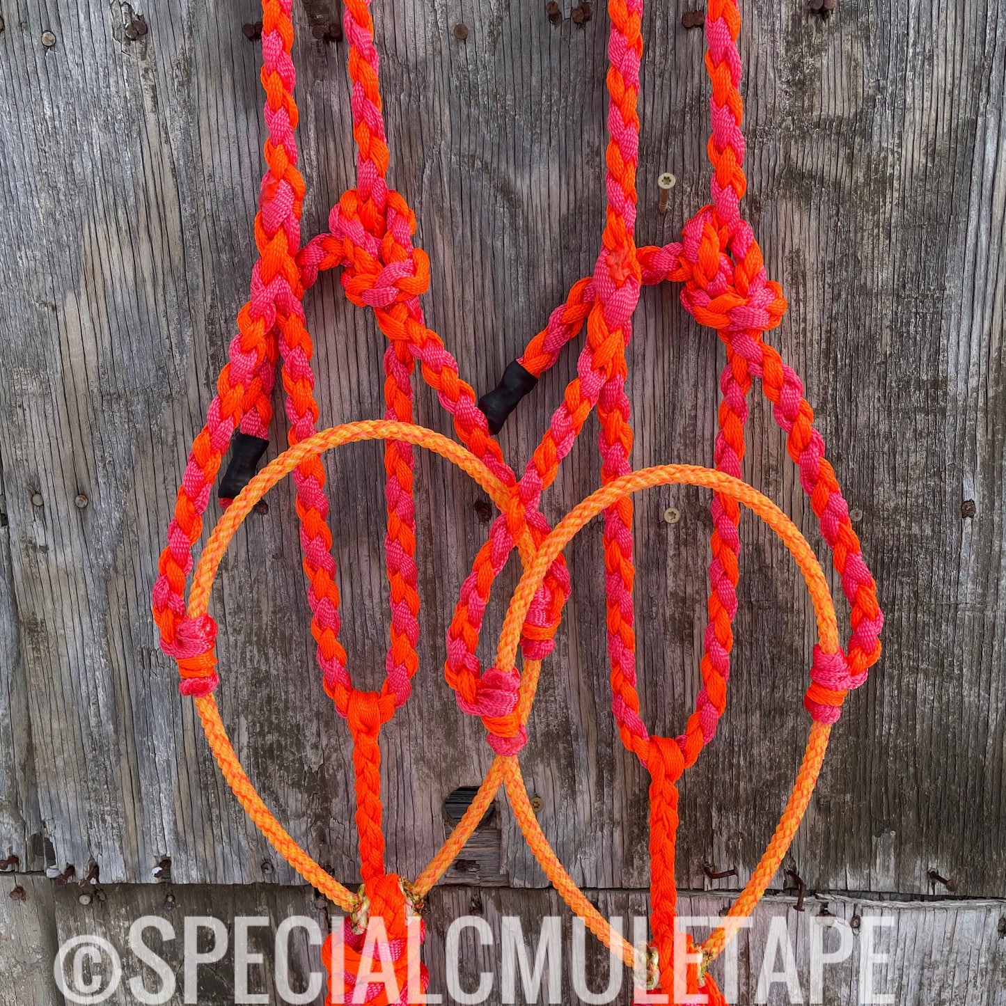 Neon Orange & Neon Pink Lariat Halter