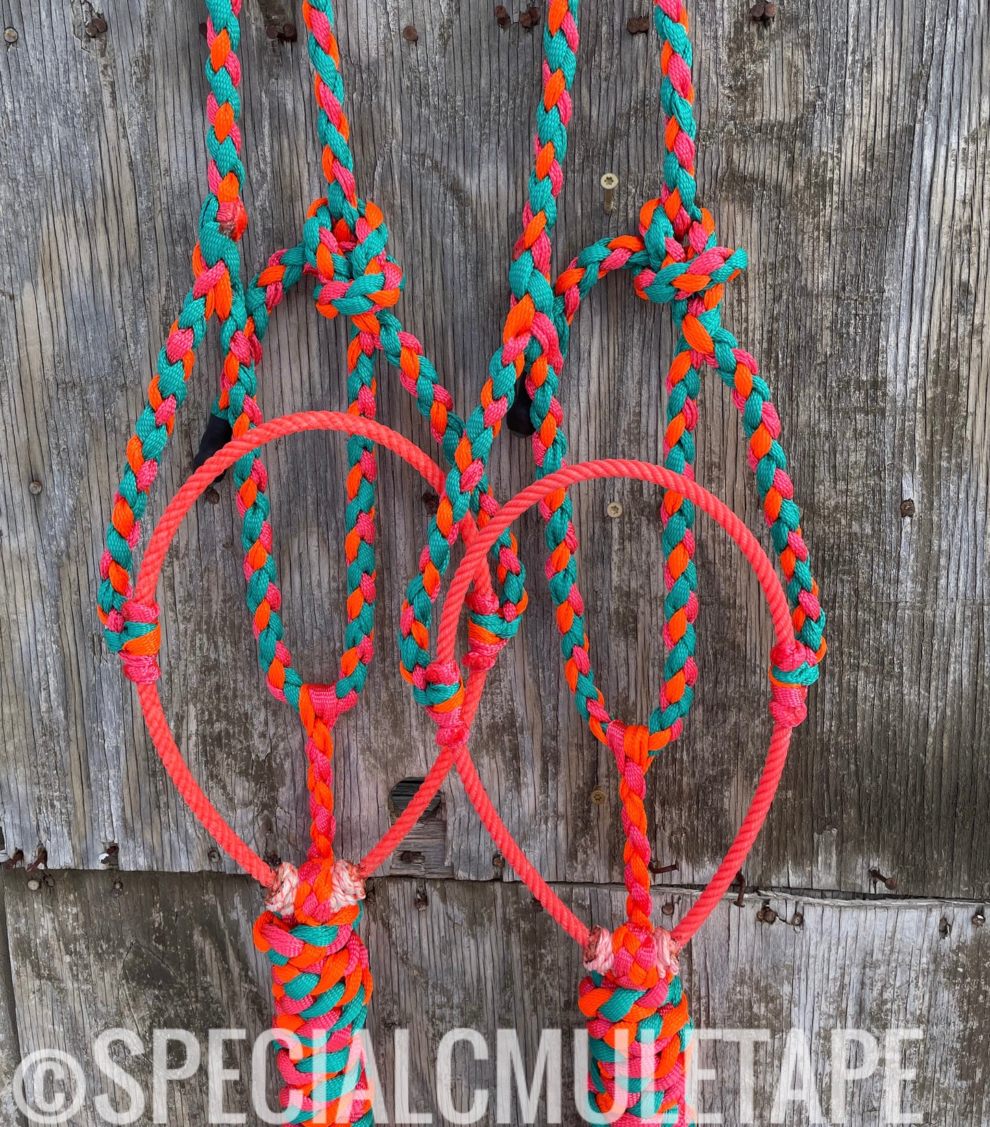 Teal, Neon Orange and Neon Pink Lariat Halter