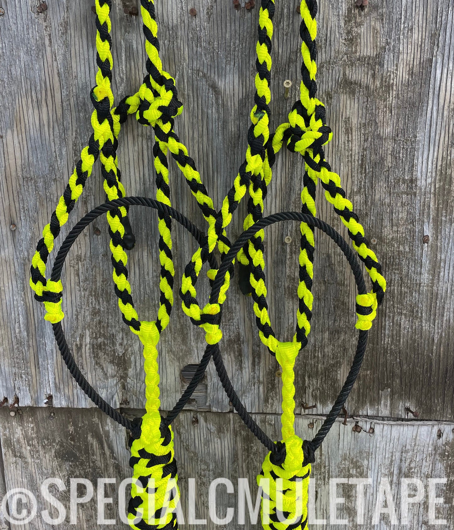 Neon Yellow & Black Lariat Halter
