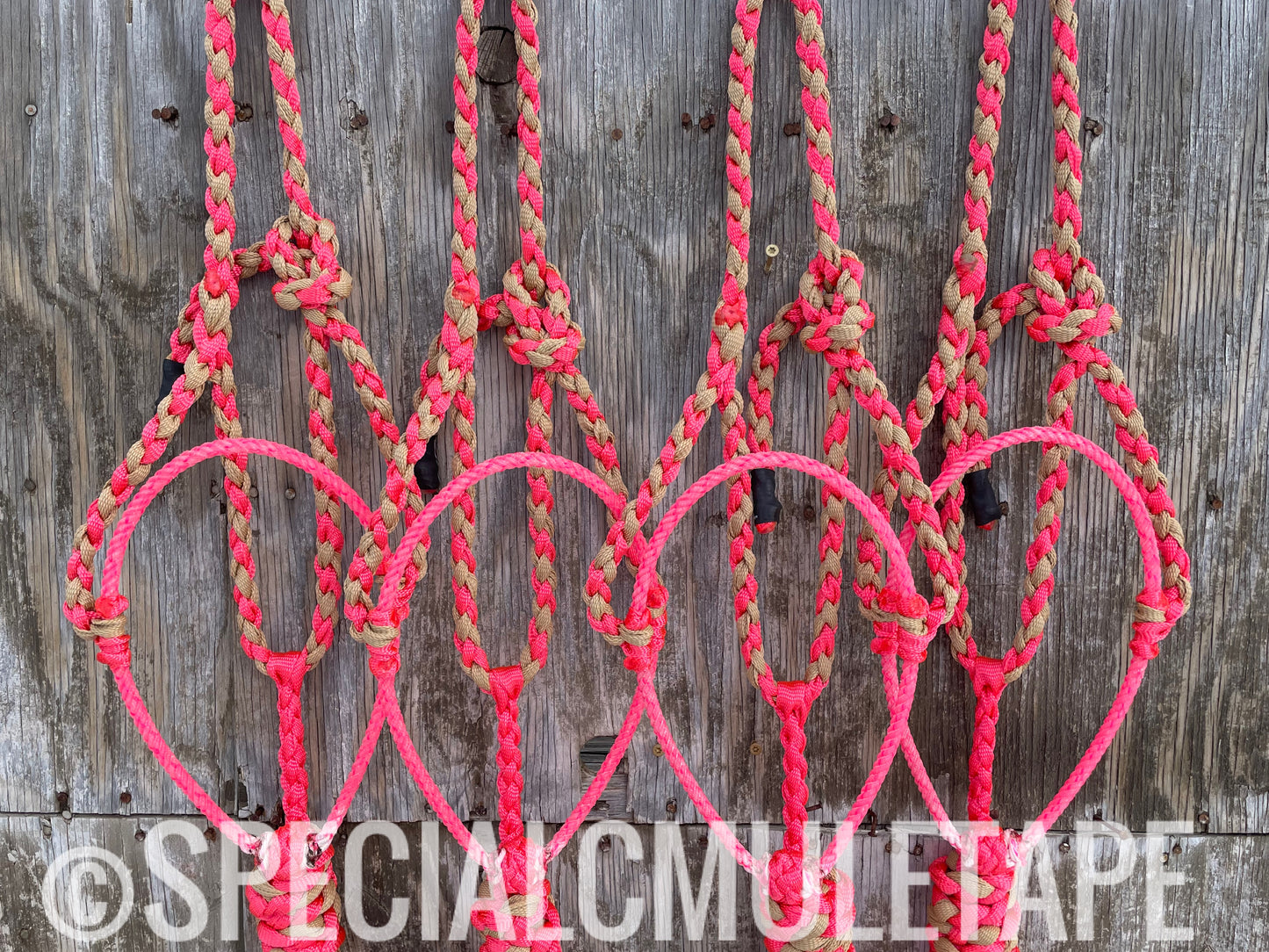 Neon Pink & Sand Lariat