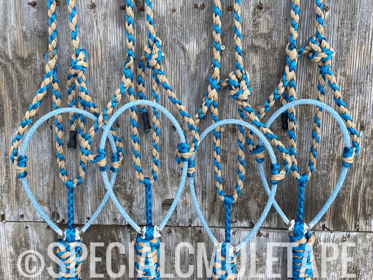 Royal Blue & Sand Lariat Halter