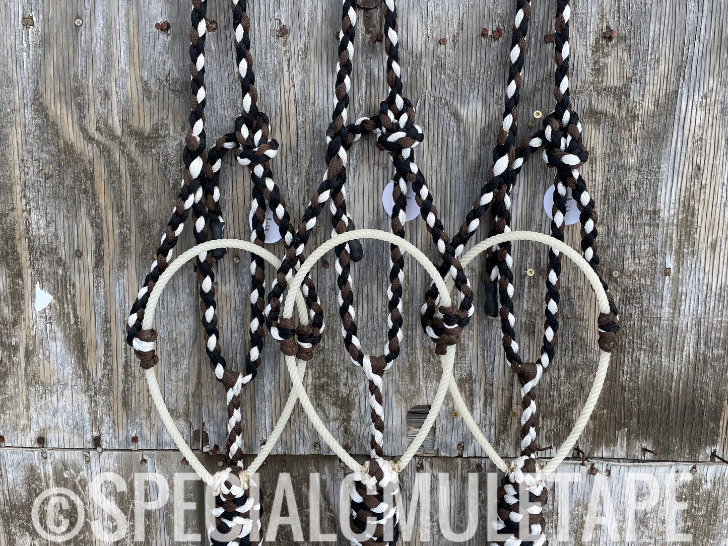 Black, Chocolate & White Lariat Halter