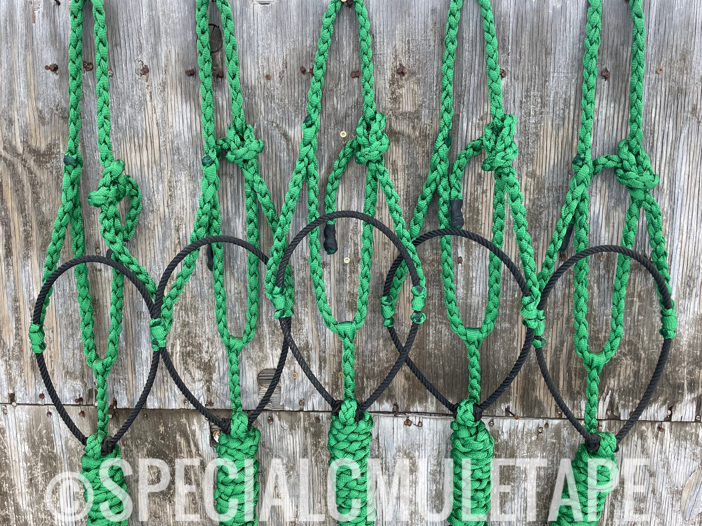 Green Lariat Halter