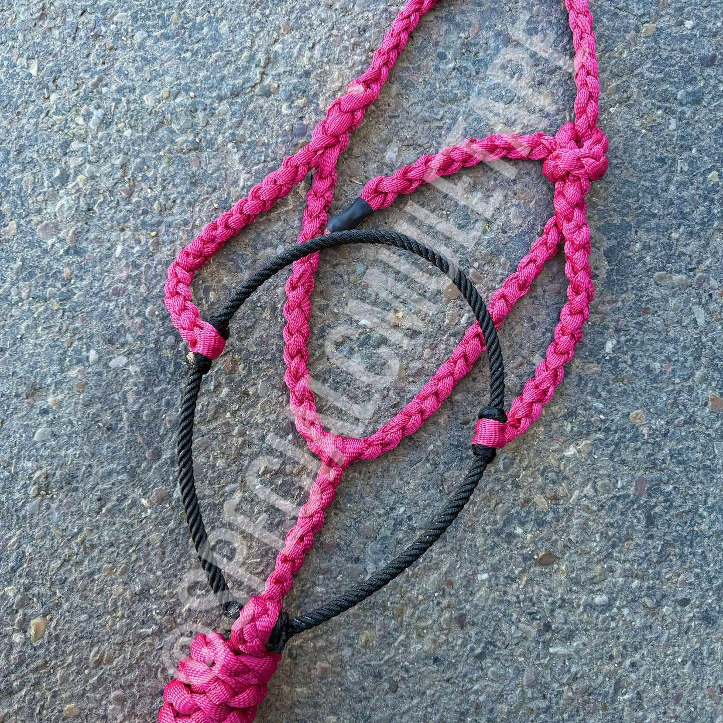 **NEW**Fuchsia Lariat Halter