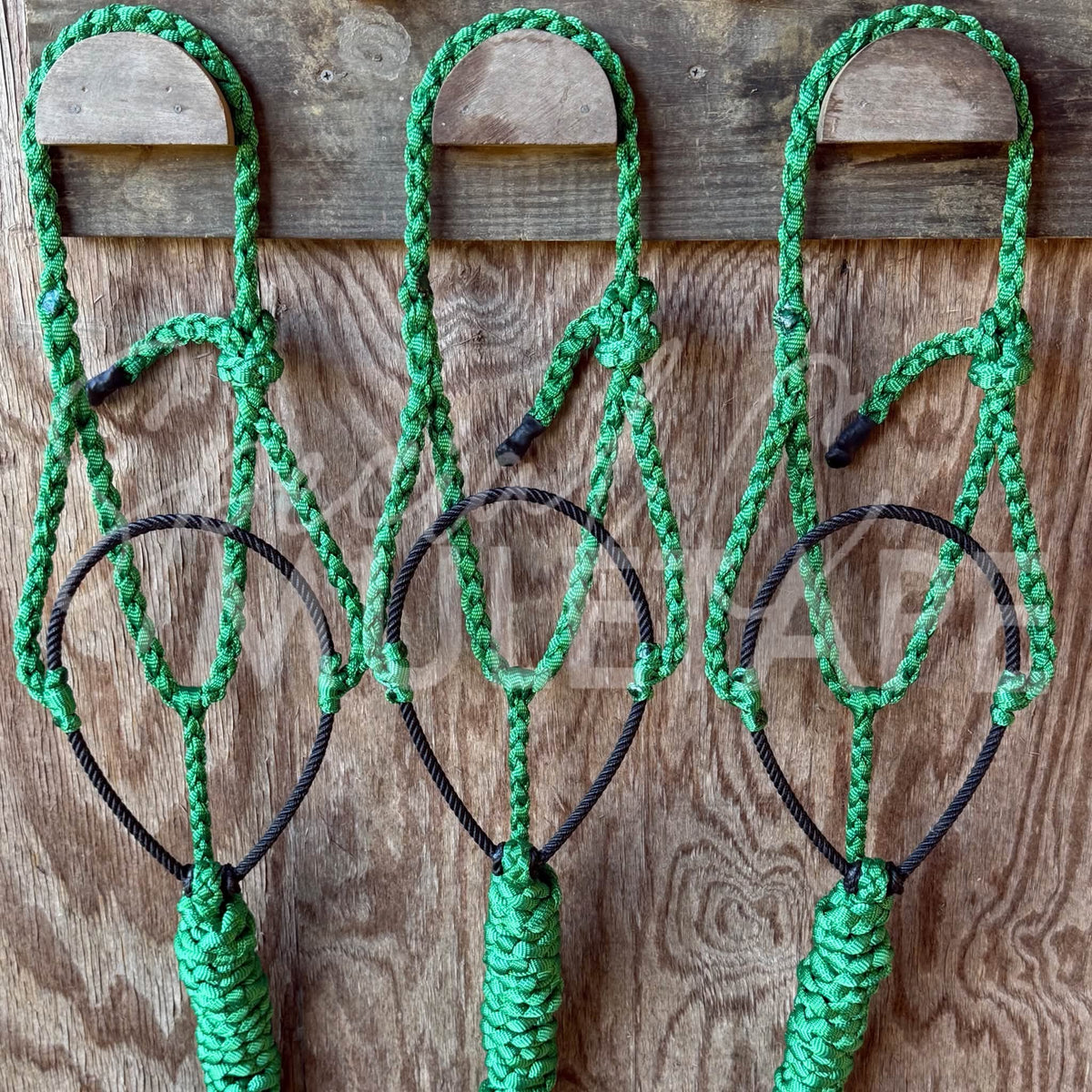 Green Lariat Halter