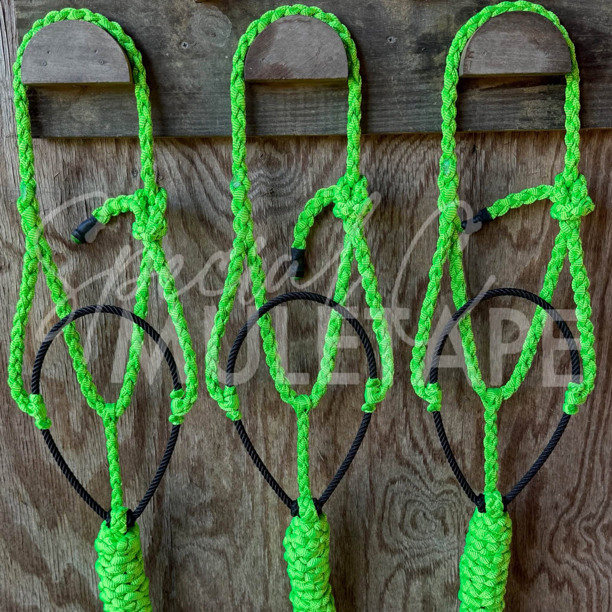 Neon Green Lariat Halter