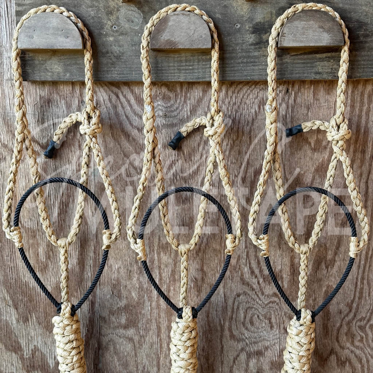Sand Lariat Halter