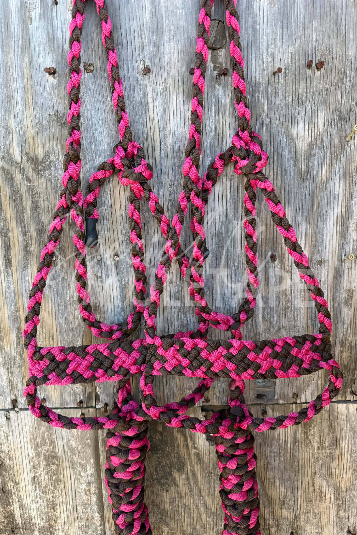 Chocolate & Fuchsia Brute