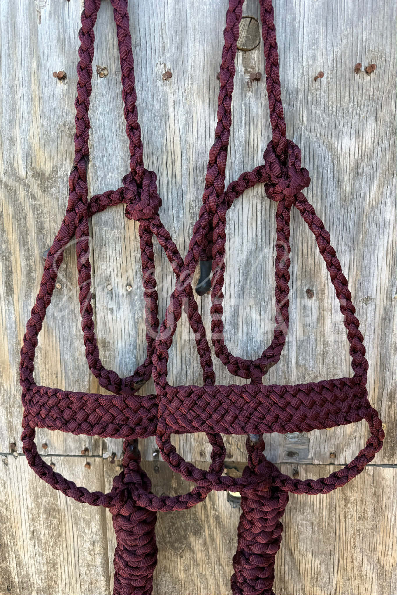 Burgundy Brute
