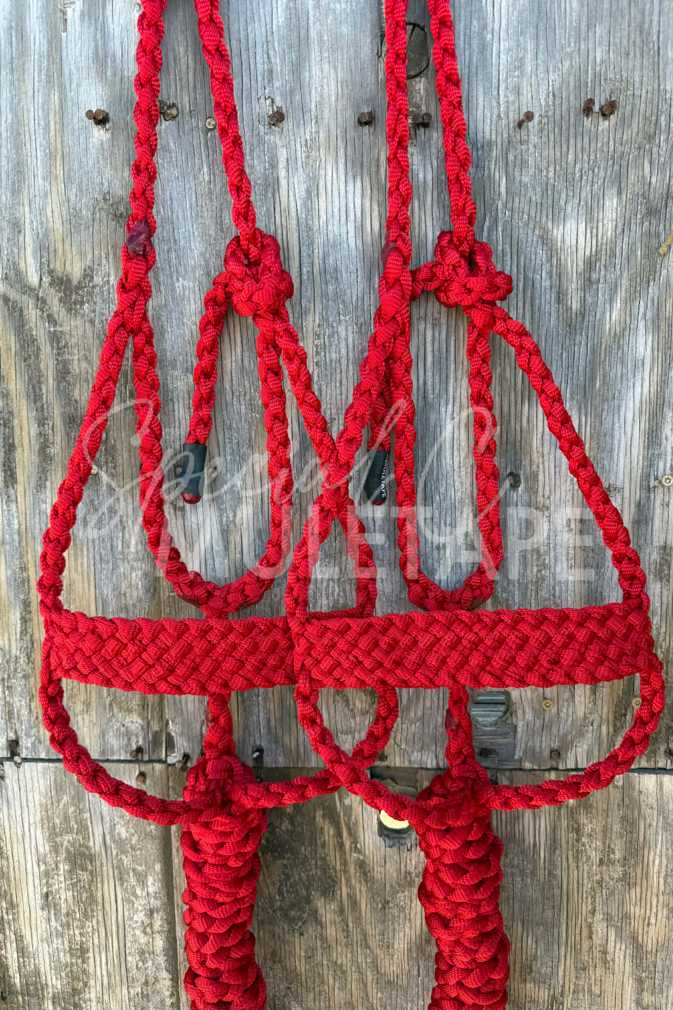 Red Brute