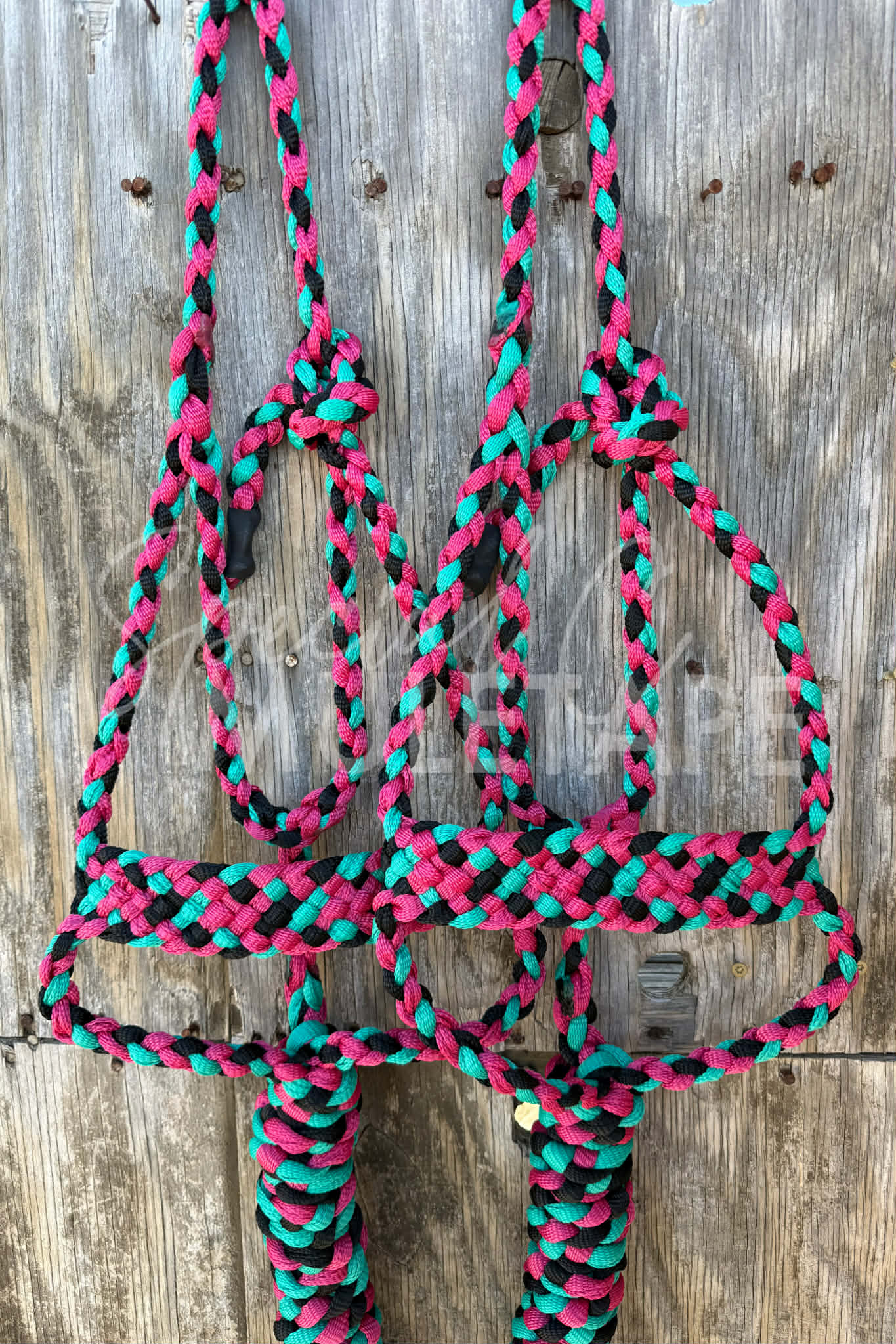 Fuchsia, Teal & Black Brute Halter