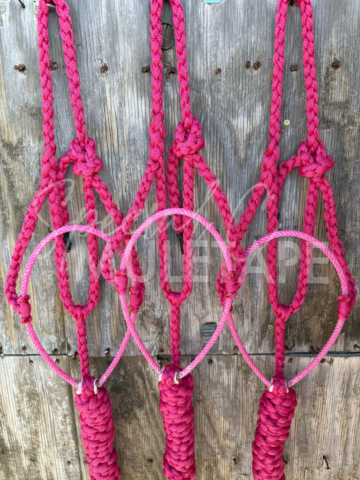 Color Matched Fuchsia Lariat Halter