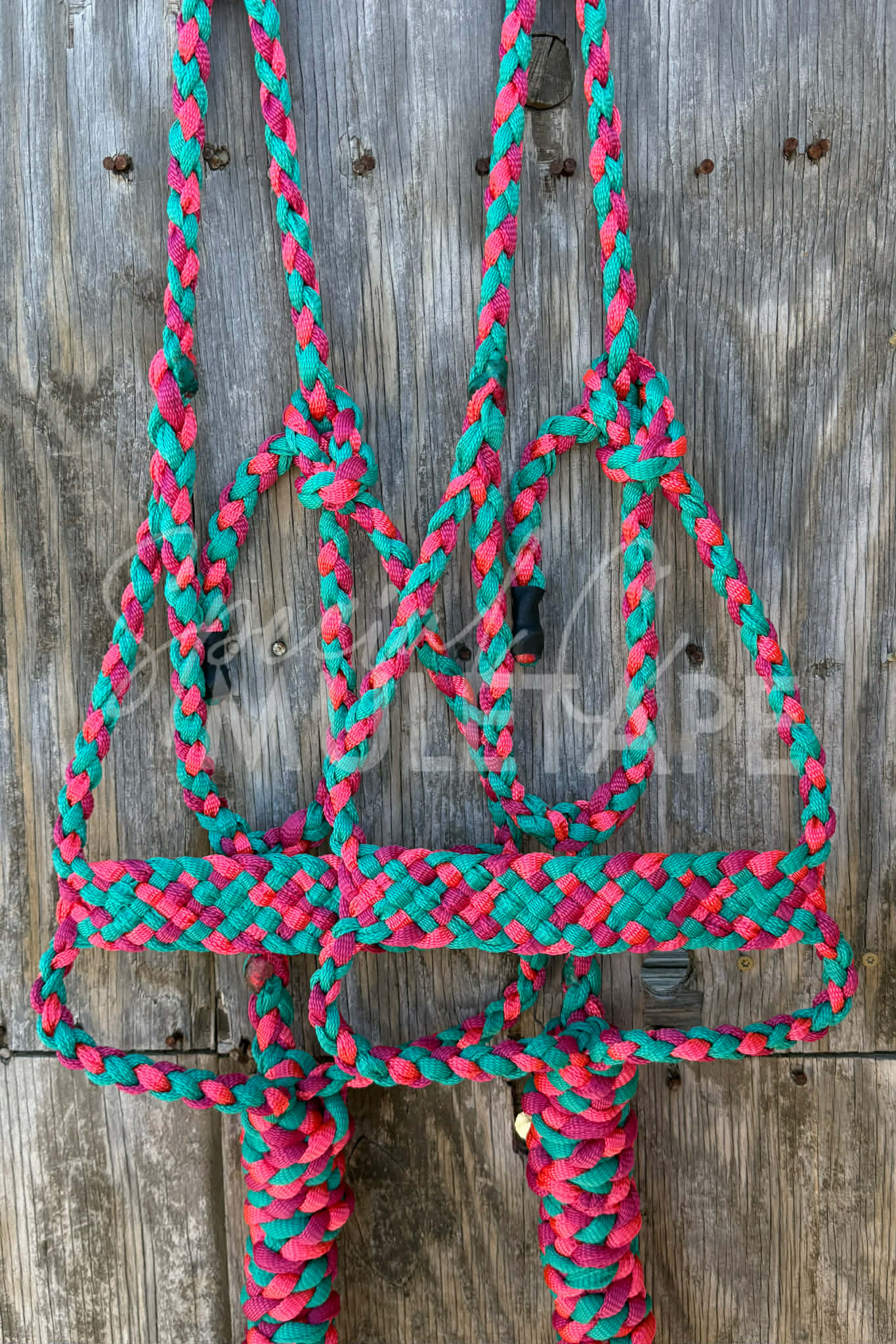 Teal, Neon Pink & Fuchsia Brute Halter