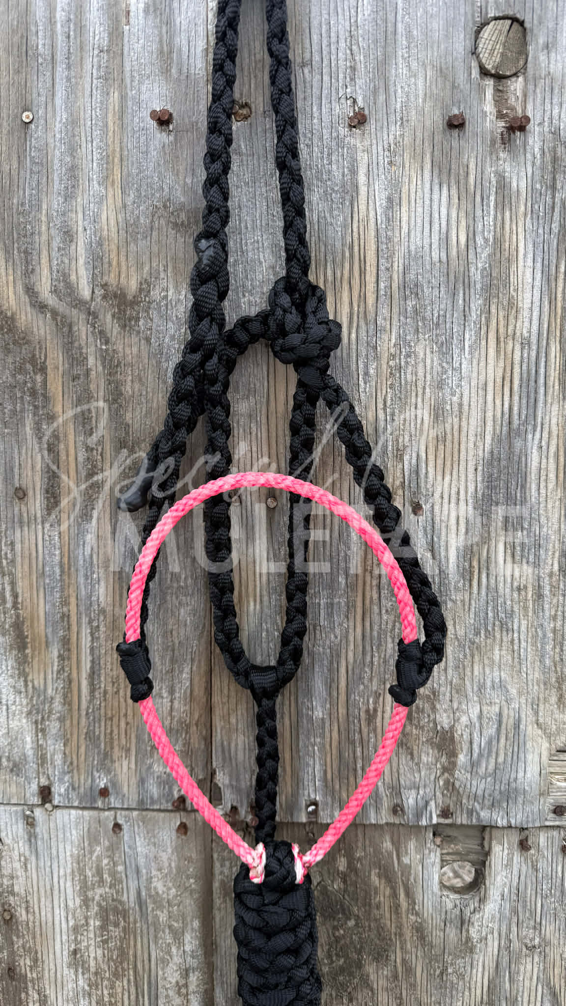 Color Pop Lariat Halter Collection