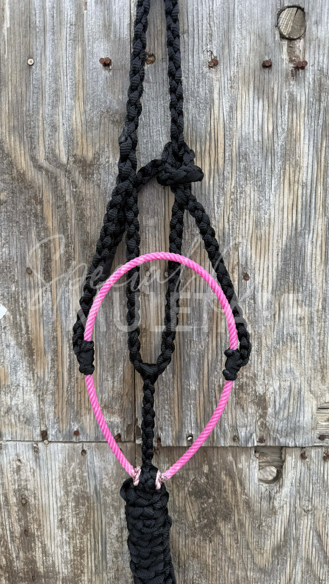 Color Pop Lariat Halter Collection