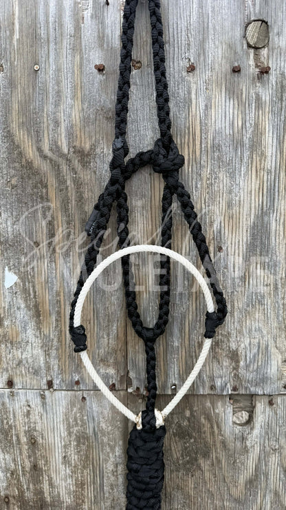 Color Pop Lariat Halter Collection