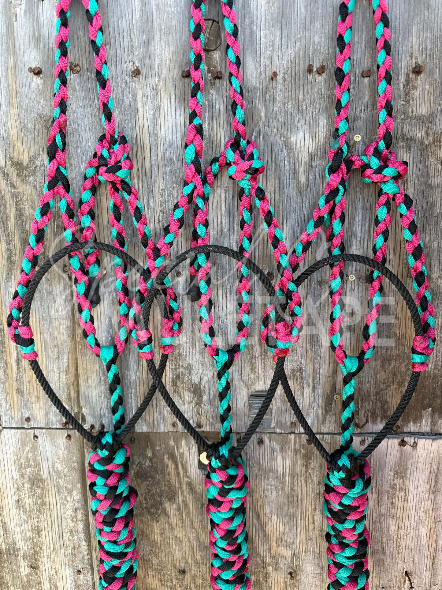 Fuchsia, Teal & Black Lariat Halter