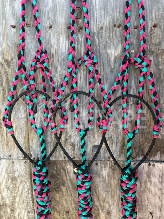 Fuchsia, Teal & Black Lariat Halter