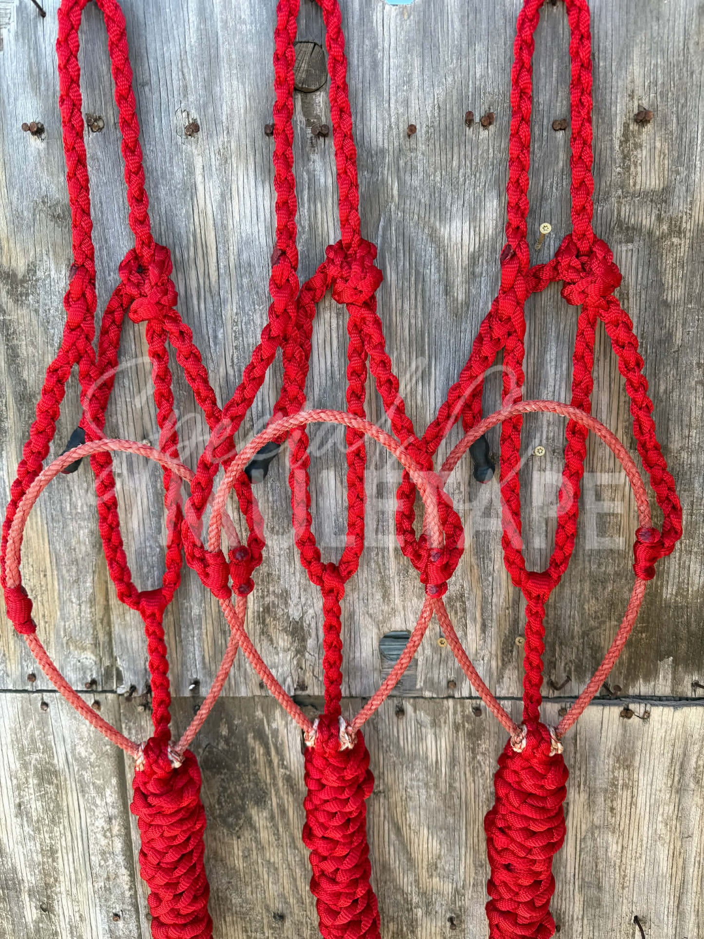 Color Matched Red Lariat Halter