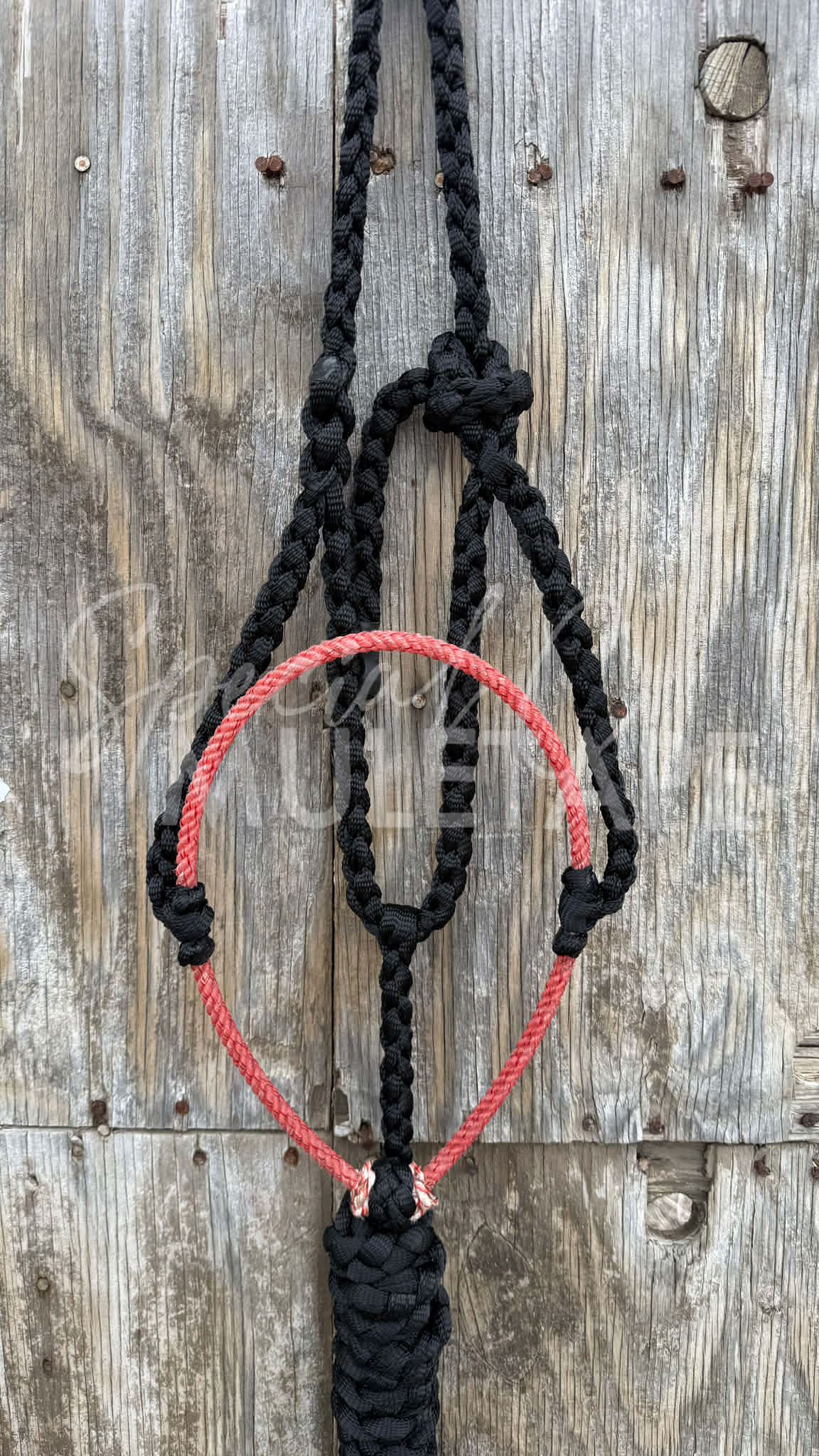 Color Pop Lariat Halter Collection