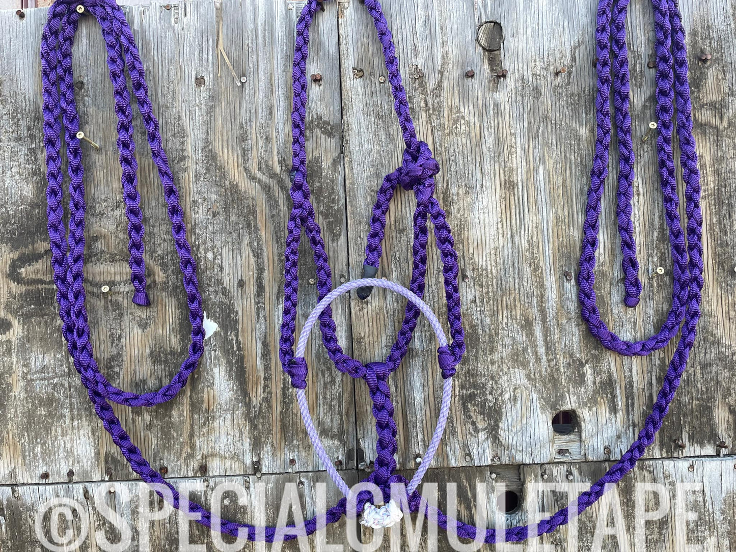 CUSTOM Loping Halter