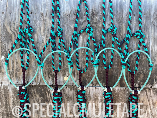 Burgundy & Teal Lariat Halter w/ Teal Noseband