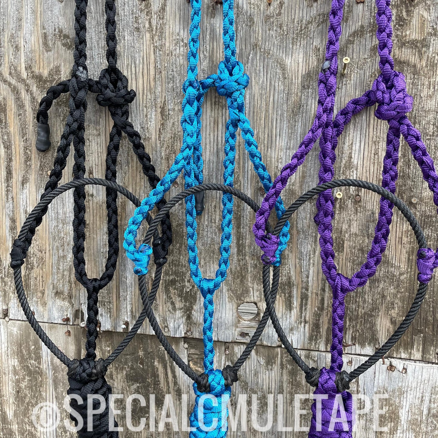 CUSTOM Lariat Halter w/ NO LEADROPE