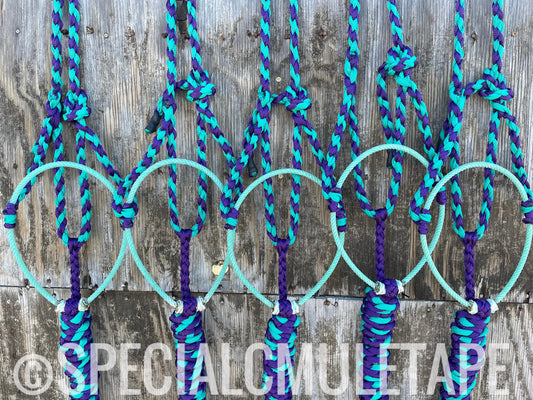 Royal Purple & Teal Lariat Halter w/ Teal Noseband