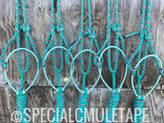 Teal & Slate Gray Lariat Halter w/ Teal Noseband